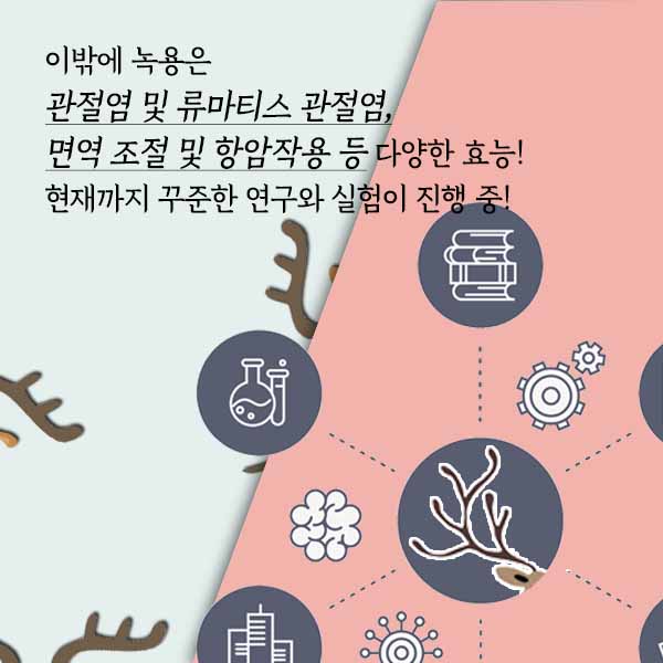 녹용2-9