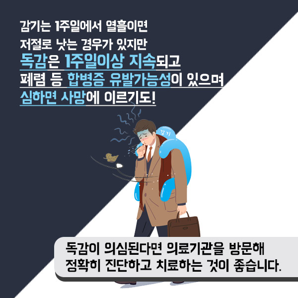 독감 2-4