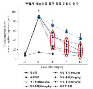 [사진설명] 전열기 테스트를 통한 감각 민감도 평가