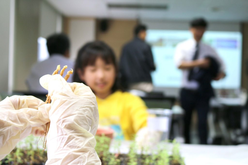 체험기2